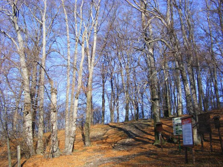 fot. arch. N. Siewierz