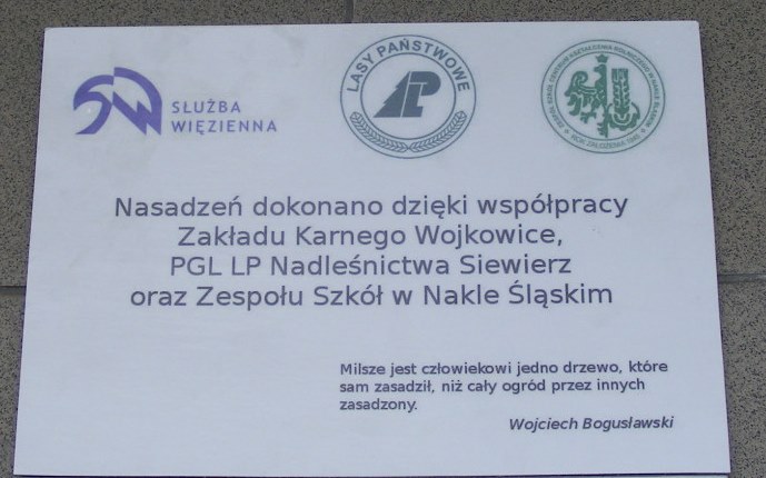 Sadzenie drzew w Zakładzie Karnym w Wojkowicach