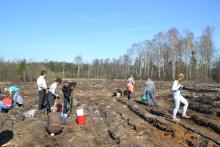 Akcja "Zasadźmy sobie las" w Dąbrowie Górniczej