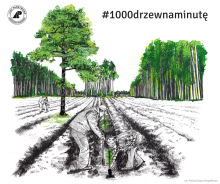 Sadzimy 1000 drzew na minutę!