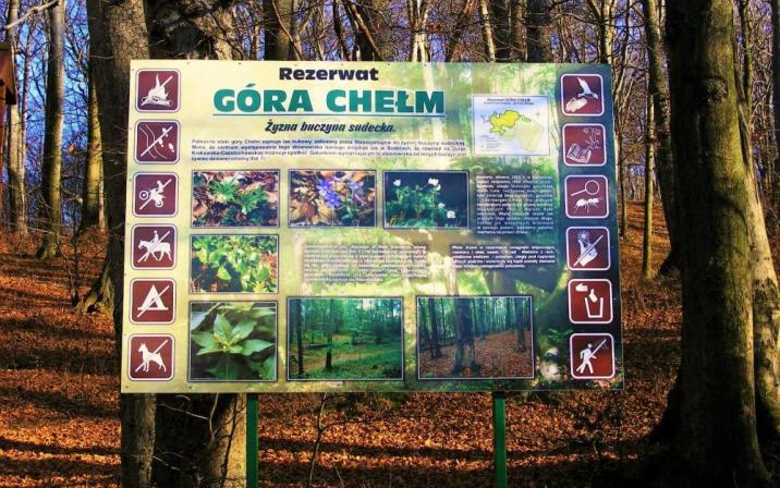 Foto ARC. Nadleśnictwo Siewierz