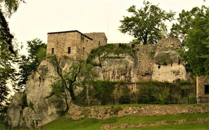 Foto ARC. Nadleśnictwo Siewierz