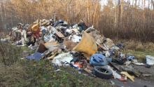 Mieszkańcy zapłacili za utylizację a śmieci… wylądowały w lesie