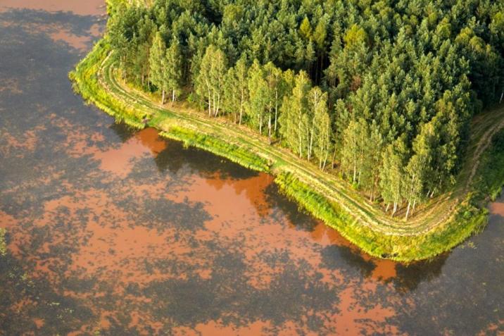 Styk lasu ze zbiornikiem wodnym (Fot. Krzysztof Ptak)