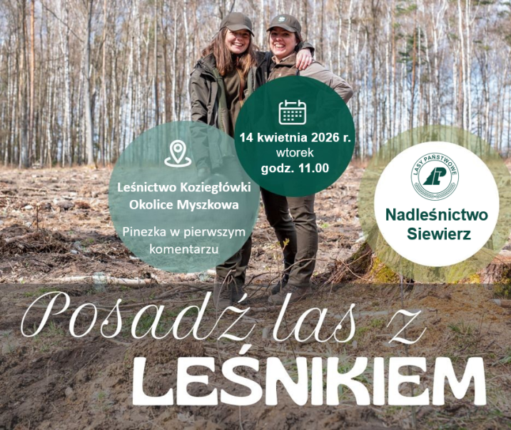 Grafika promująca akcję "Posadź las z leśnikiem"